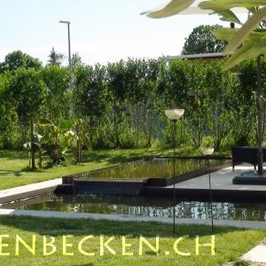 Gartenbecken 104
